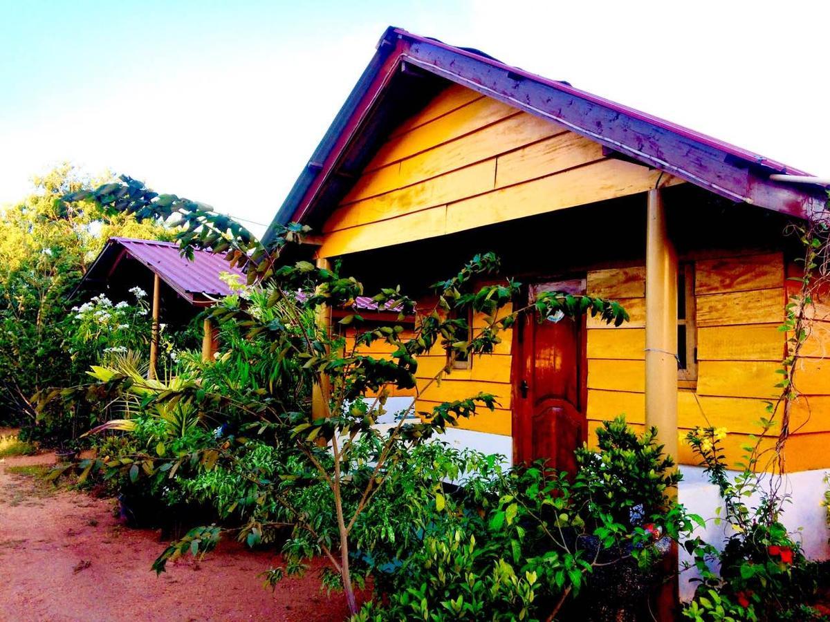 Sunntop Cabana Trincomalee Eksteriør billede