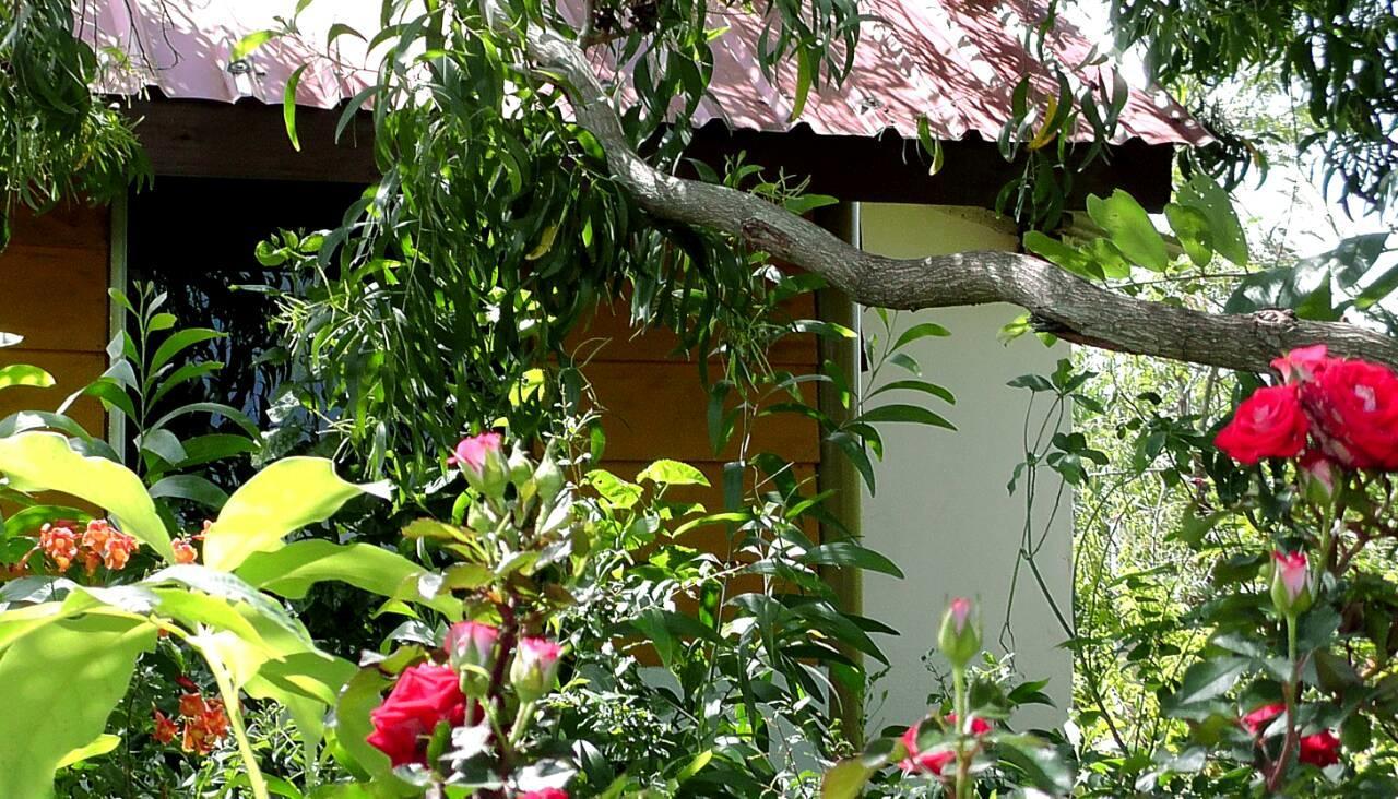 Sunntop Cabana Trincomalee Eksteriør billede